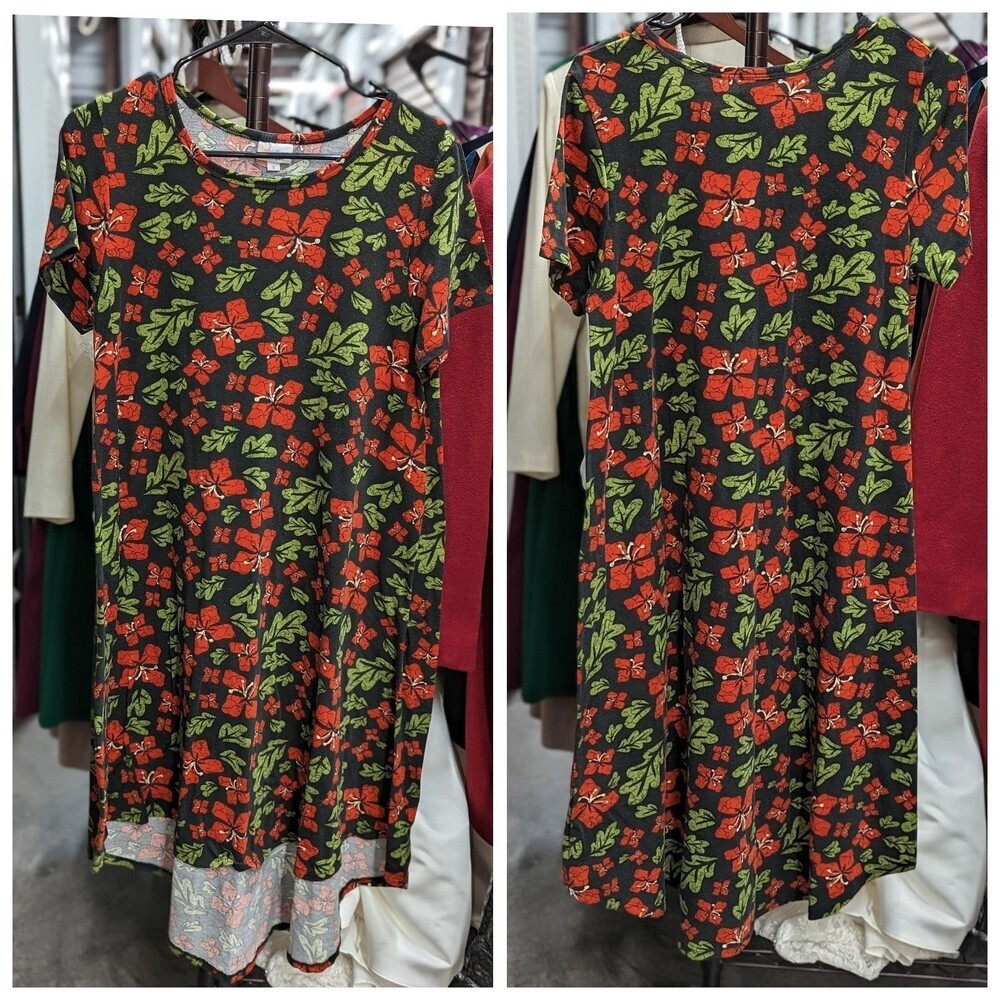 Lularoe Carly‎ Dress Small Leaves Pointsetta